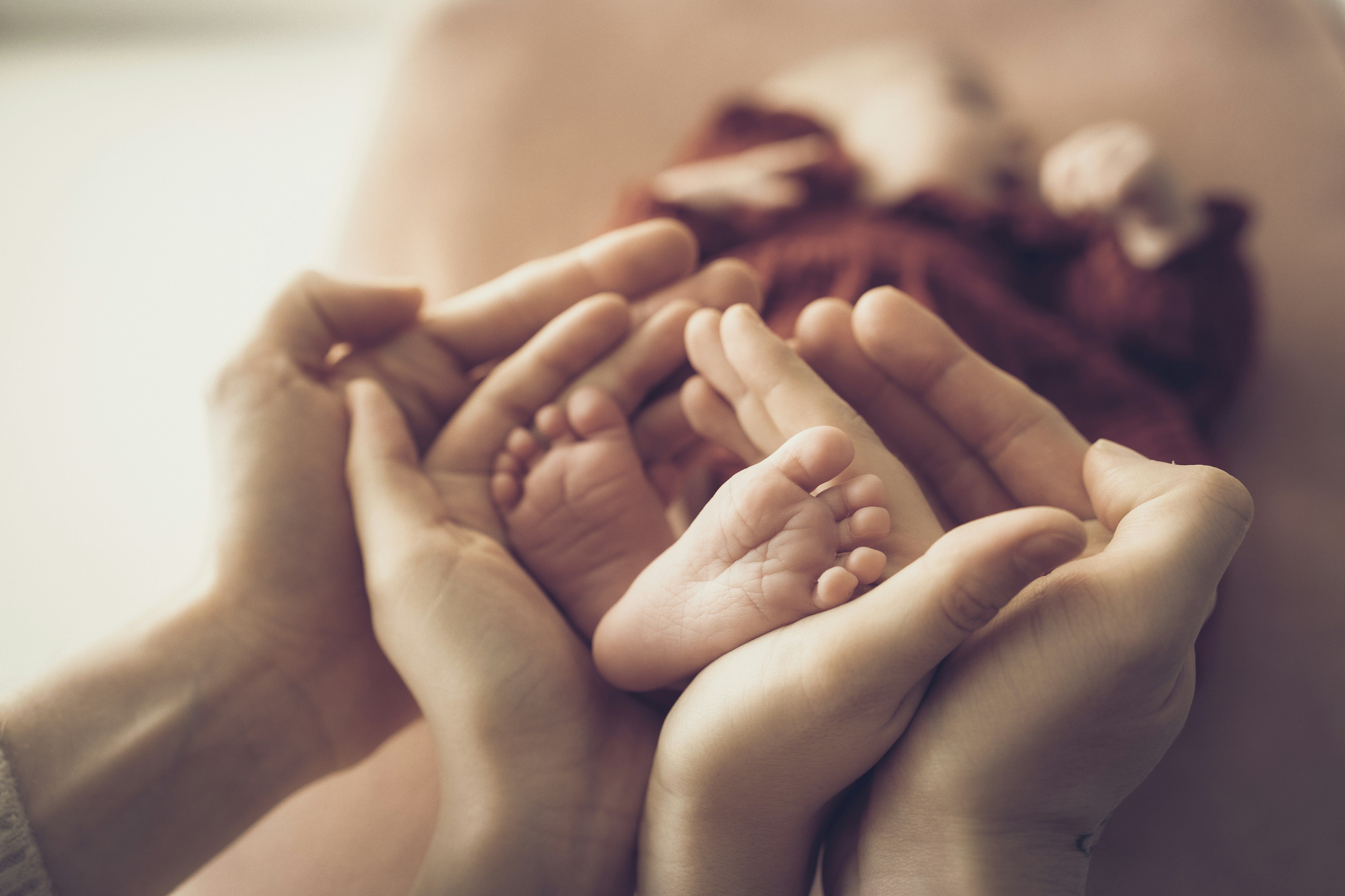 A newborn's tiny feet cradled in parents' hands, in soft warm light.
